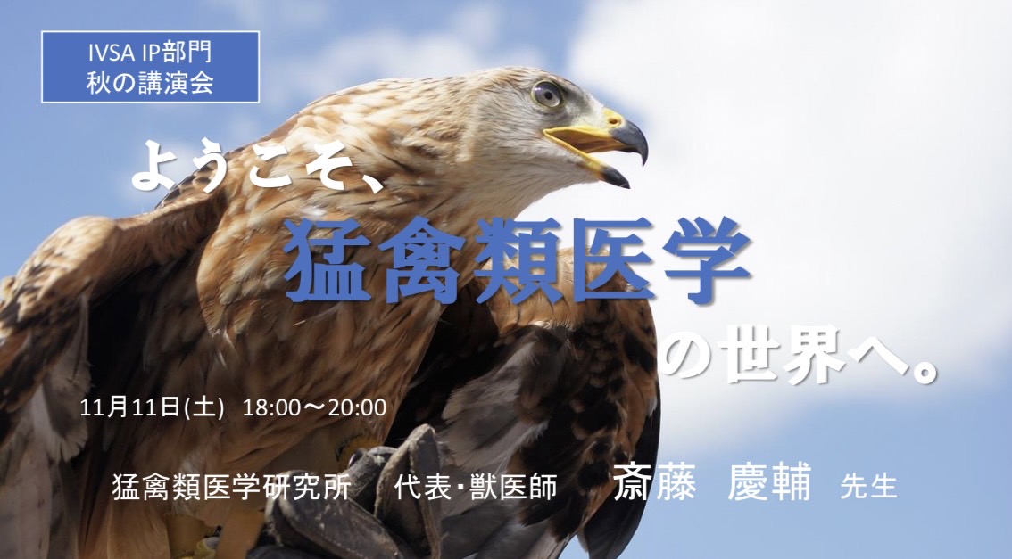 実験動物発生異常アトラス外表異常/薬事日報社/日本先天異常学会（大型本） 実験動物発生異常アトラス外表異常/薬事日報社/日本先天異常学会