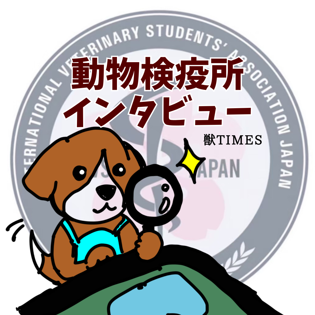 獣医師インタビュー企画～動物検疫所で働く～浅倉将人さん